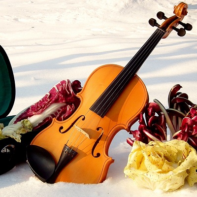 Post image for How to Care for Your Violin in Winter